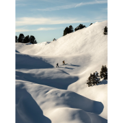 Sjezdové vázání Marker Griffon 13 Black - Red