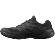 Pánské boty Salomon Alphaglide Gore-Tex