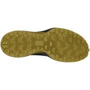 Pánské běžecké boty Dynafit Ultra Gtx