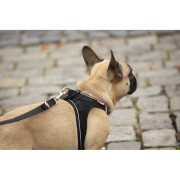 Vodítko na psa Curli Adjustable Leash Nylon