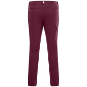Dětské kalhoty Regatta Tech Mountain Trousers Fig