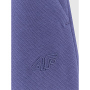 Pánské tepláky 4F Trousers Cas M1245