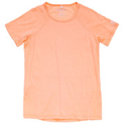 Dámské triko Devold Endurance Merino 130 Tee Wmn