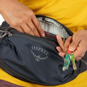 Ledvinka Osprey Daylite Waist II