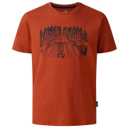 Dětské triko Dare 2b Trailbazer III Tee Arabian Spice