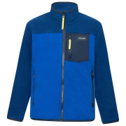 Dětská funkční mikina Regatta Junior Frankie Warm Fleece Aviator Blue