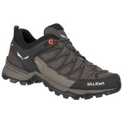 Dámské boty Salewa Ws Mtn Trainer Lite Gtx