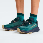 Pánské boty The North Face M Altamesa 300 V2