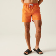 Pánské kraťasy Regatta Mackleyna Swim Short