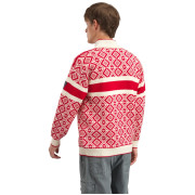 Pánský svetr Dale of Norway Cortina 2026 Masc. Sweater