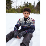Pánský svetr Dale of Norway Vail Masc Sweater