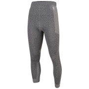 Pánské funkční spodky Dare 2b In The Zone II Legging