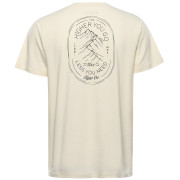 Pánské triko Alpine Pro Dorg