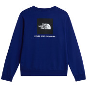 Pánská mikina The North Face M Evolution Box Nse Regular Crew