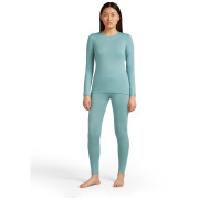 Dámské triko Icebreaker W's 260 Tech LS Crewe