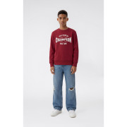 Dětská mikina Champion Crewneck Sweatshirt B GMS