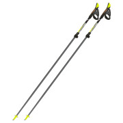 Nordic walking hole Fizan Carbon Pro 2-pcs