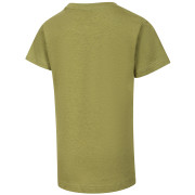 Dětské triko Alpine Pro Nogero Green Oasis