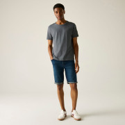 Pánské triko Regatta Finlo