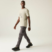 Pánské triko Dare 2b Movement III Tee
