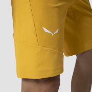 Pánské kraťasy Salewa Agner Dst M Shorts.