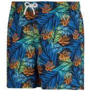 Pánské plavky Regatta Loras Swim Short