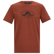 Pánské triko Regatta Cline IX