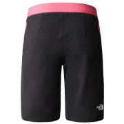 Dámské kraťasy The North Face Stolemberg Alpine Slim Straight Short