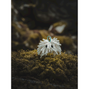 Pytlík na magnézium Midnight Lightning Chalktopus