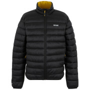 Pánská bunda Regatta Marizion