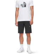 Pánské kraťasy Mammut Runbold IV Shorts