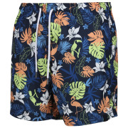 Pánské plavky Regatta Loras Swim Short m