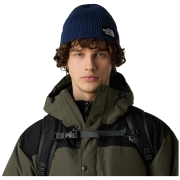 Pánská čepice The North Face Tnf Logo Box Cuffed Beanie