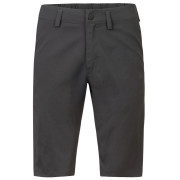 Pánské kraťasy Hannah Weid Shorts