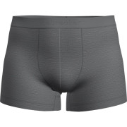 Pánské boxerky Icebreaker M Mer 125 Cool-Lite Anatomica Boxers