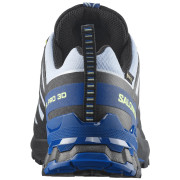 Pánské běžecké boty Salomon Xa Pro 3D V9 GTX Icon