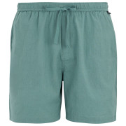 Pánské kraťasy Regatta Hadlin Shorts