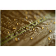 Ochranná celta Hamaka Tarp