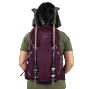 Turistický batoh Osprey Sportlite 25