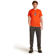 Pánské tričko Icebreaker Men Merino 150 Tech Lite Bear Tour