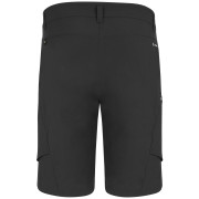 Pánské kraťasy Salewa Puez Dst M Cargo Shorts