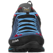 Dámské boty Salewa Ws Mtn Trainer 2 Gtx