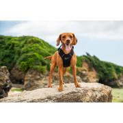 Postroj pro psa Mountain Paws Dog Harness