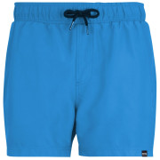Pánské plavky Regatta Mawson Swim Shorts III
