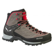 Pánské boty Salewa MS MTN Trainer MID GTX