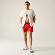 Pánské plavky Regatta Mawson Swim Shorts III