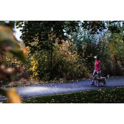 Čelovka Ledlenser HF4R Core