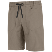 Pánské kraťasy Wild Country Flow M Short