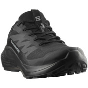 Pánské boty Salomon Alphaglide Gore-Tex