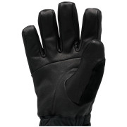 Lyžařské rukavice Black Diamond Legend Gloves